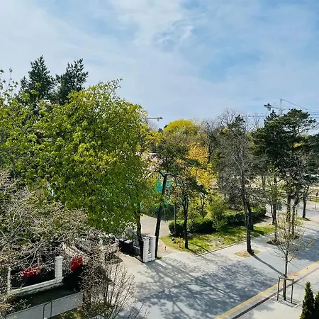 Lägenhet Alka House